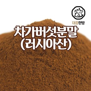 대흥한방 차가버섯분말 100g 러시아산