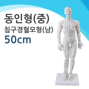 행림 동인형 중 50cm 침구 경혈모형 남, 1개