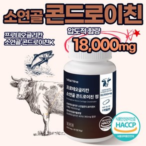 소연골 콘드로이친 1200 프로테오글리칸 저분자 고함량 18000mg 식약처 HACCP인증, 1박스, 60정