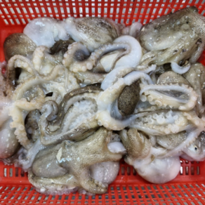 국내산 급냉 쭈꾸미 국산 알배기 알쭈꾸미, 1개, 1kg (7-12미)