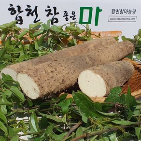 합천 알뜰마 못난이마 자투리마 대 5 kg, 1개