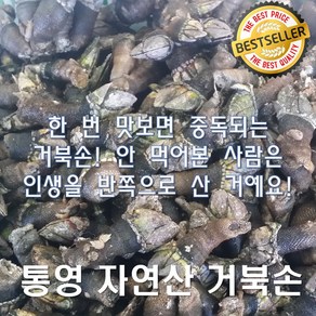 통영 거북손 바다의 고급스러움이 여기 다 모였다! 지금 주문하면 바로 신선한 맛을 경험할 수 있습니다!, 3개, 싱싱거북손300g