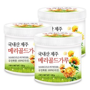 푸른들판 국산 제주 메리골드 분말 가루 마리골드 금잔화 꽃 차, 120g, 3개