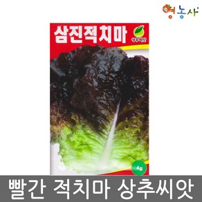 삼진적치마 상추 씨앗 4g 영농사, 1개