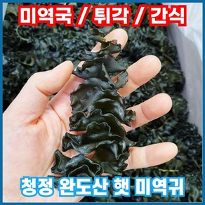 거제도순자네 짜지 않은 완도 햇 미역귀 미역귀다리, 1개, 500g