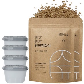 온다숲 반영구 천연 제습제 정화석 1kg + 용기4개, 1개