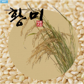 24년산 황미쌀(5분도) / 현미 백미 대체쌀 즉석도정 [원산지:국산], 1개, 2kg