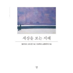 세상을 보는 지혜 (포켓북)