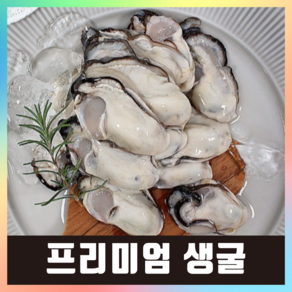 햇굴 생굴 당일작업 깐굴 굴 통영, 1개, 최상급(대굴) 3kg