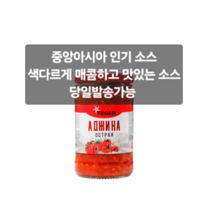 테켄 아지카 토마토 소스& 마늘 소스 ACUTE ADJIKA 중앙아시아 소스 320g, 1개