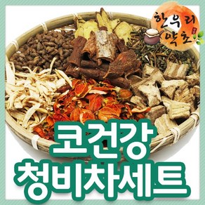 우리가족차 한우리쌍화 청비차 오자차 강골차 헛개차 황기맥문동차, 오자차1000g, 1개