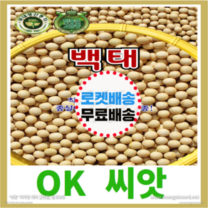 [OK씨앗] [백태(메주콩)] 백태콩씨앗 매주콩씨앗 종자(오케이씨앗), 1개