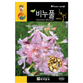 비누풀 씨앗 200립 거품장구채 소프워트 종자 꽃씨 키우기 화단가꾸기 soap wot seed, 1개