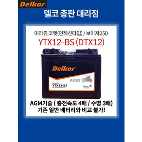 혼다 VFR750F AGM 배터리 (1990~1997) YTX12-BS DTX12, 1개