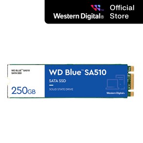 WD Blue SA510 SATA SSD, 250GB, SA510 M.2