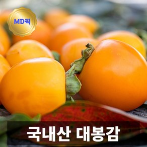 금메달농수산 산지직송 프리미엄 국내산 대봉감, 1개, 대과 5kg (17과수 내외)