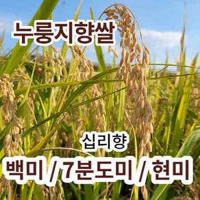 [누룽지향쌀] 십리향 햅쌀 향미 백미/현미/7분도미(쌀눈쌀) 누룽지쌀 산지직송 흙사랑농장 모이랑, 십리향 7분도미1kg