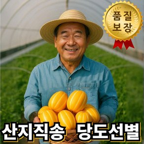 [고당도 선별] 프리미엄 산지직송 성주 꿀 참외 꼬마 못난이 특품, 1박스, 특품 3kg
