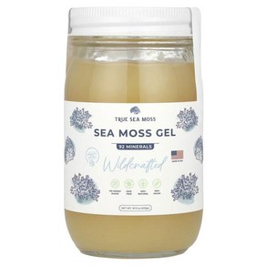 True Sea Moss 바다이끼 젤 야생재배 453g(16fl oz)