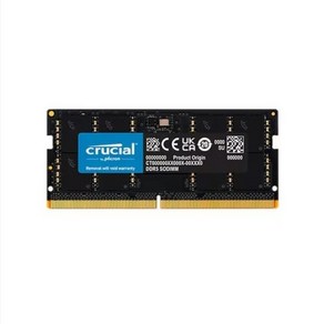 [마이크론] 노트북용 Crucial DDR5 PC5-44800 저전력 대원씨티에스 [16GB] (5600)