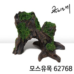 클리오레 모스유목 J 62768, 1개