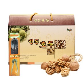 친환경팔도 [생산자직송] 무농약 영동 햇 호두(피호두) 1kg+호두망치 증정, 1세트