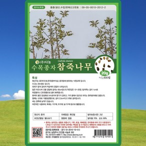 다농 참죽나무 씨앗 20g 참죽나무 씨 수목 종자, 1개