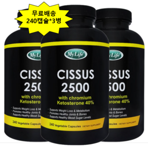 씨서스 240캡슐 12개월분 *3병 시서스 2500mg 다이어트, 240정, 3개