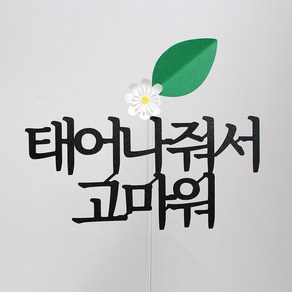 루아룰루 생일토퍼 태어나줘서 고마워 꽃 축하 기념 파티 아이