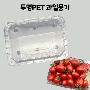 일회용 포장 pet 사각 투명 과일 용기 용품 방울토마토 딸기