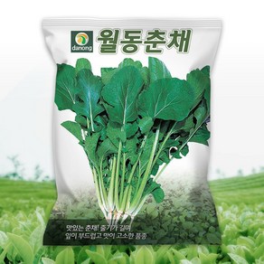 다농 월동춘채 씨앗 500g 월동채소 춘채 순무유채씨 종자