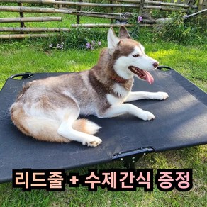 그램도그 강아지 해먹 애견 침대 대형견 이동식 캠핑 의자