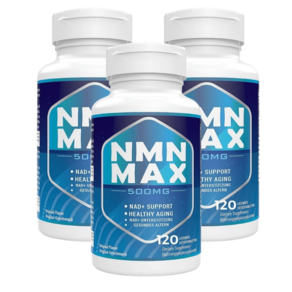 NMNMAX NMN 엔엠엔 맥스 500mg, 3개, 120정