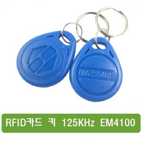 S176 RFID 카드 키 125KHZ EM4100 테그키-10pcs RF 키, 10개