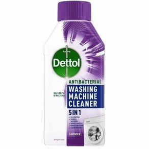 데톨 항균 살균 소독액 Dettol Antiseptic Disinfectant Liquid, 2개, 250ml