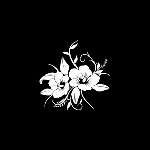 자동차포인트 00885 여왕의 꽃 튜닝스티커, S, 화이트, 1개