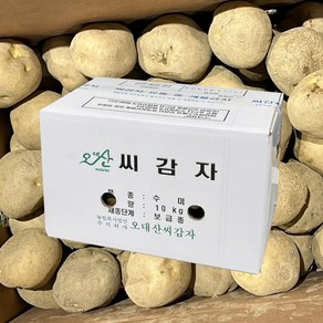 강원도 정품 수미 씨감자 보급종 감자씨 종자, 4kg, 1박스