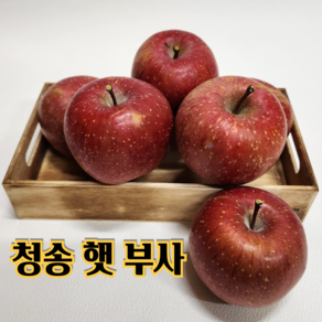 청송 고산지 고당도 햇 부사 [당도선별] 가정용 선물용 2kg 3kg 5kg 10kg 산지직송, 1박스, 가정용 중과 5kg (15~18과)