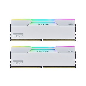 ESSENCORE DDR5-7200 CL34 CRAS V RGB W 서린 48GB, 2개