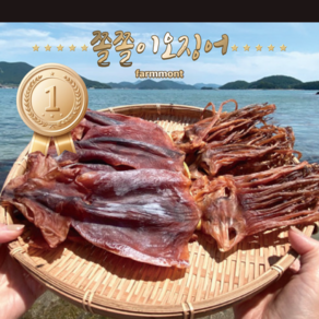 팜몬트 프리미엄 쫄쫄이 오징어 국내산 저염, 1개, 550g(7-10미)