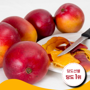 [주말만특가 당도선별] 초고당도 페루 애플망고 대과, 10개, 4kg 내외