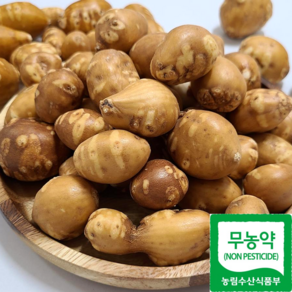 해남 무농약 세척 아피오스 인디언감자 1kg 3kg 5kg, 1개, 아피오스 1kg(대)