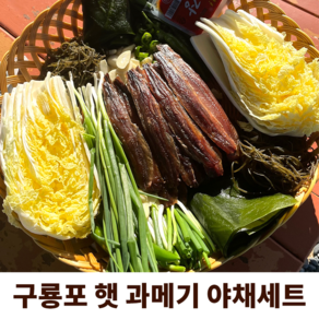 구룡포 햇 과메기 산지 직송, 5미 야채세트, 1개