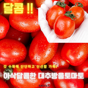 아삭달콤한 대추방울토마토, 1개, 로얄 1kg