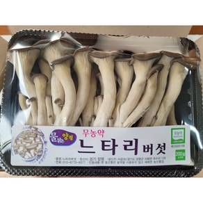 야채왕 무농약 느타리 참타리 버섯 200g 1팩 /3팩/ 5팩 /10팩 - 수도권 충청지역 팀프레시 새벽배송, 3개