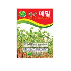 (CN) 새싹메밀 씨앗 (30g), 1개