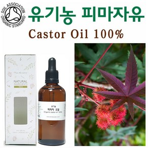 허브인 유기농(Organic)피마자오일 + 브러쉬증정