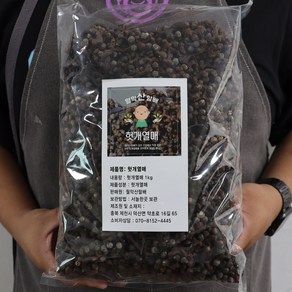 신비의 열매 월악산 헛개열매 헛개나무열매 1kg