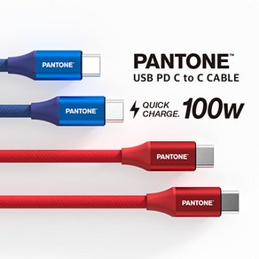 팬톤 C TO C 케이블 100W, 블루, 1개