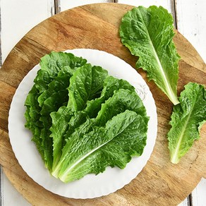 야채왕 로메인 500g 레터스 샐러드 쌈채소, 1개